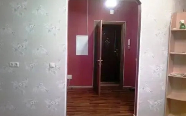 Апартаменты Apartments on Radishcheva вид на фасад