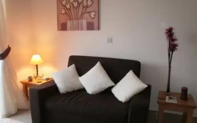 Апартаменты Paschali Hills Apartments комната для гостей
