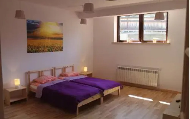 Отель Apartament Bystre Закопане комната для гостей