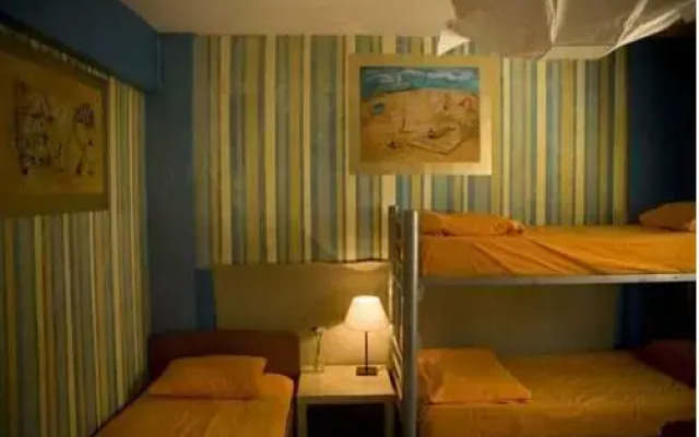 Stray Cat Hostel комната для гостей