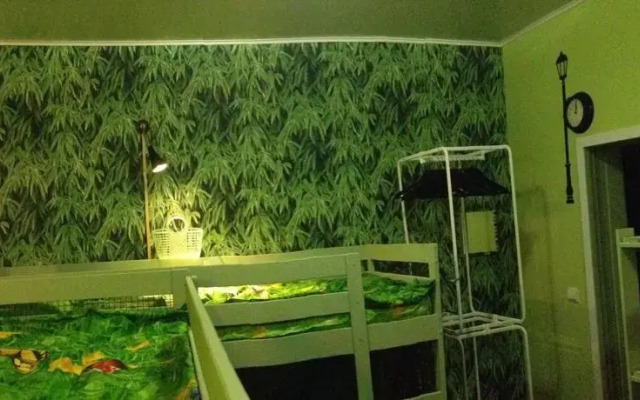 Green Garden Hostel комната для гостей