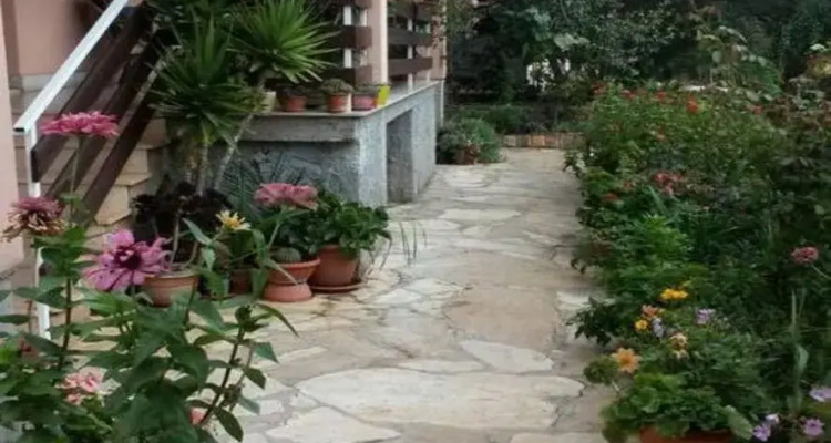 Apartment Dragica With Nice View