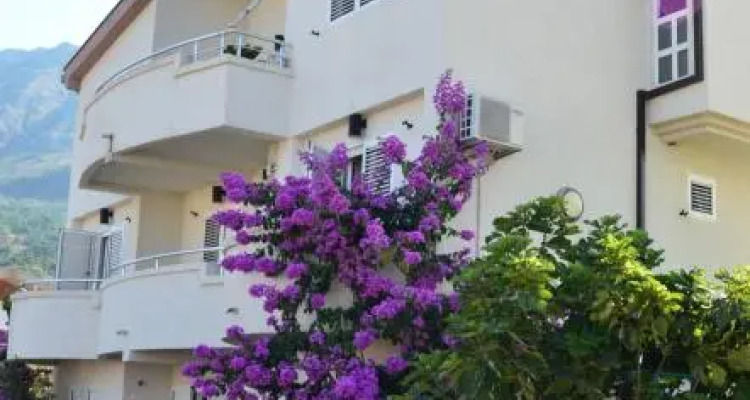 Guest House Villa Alea