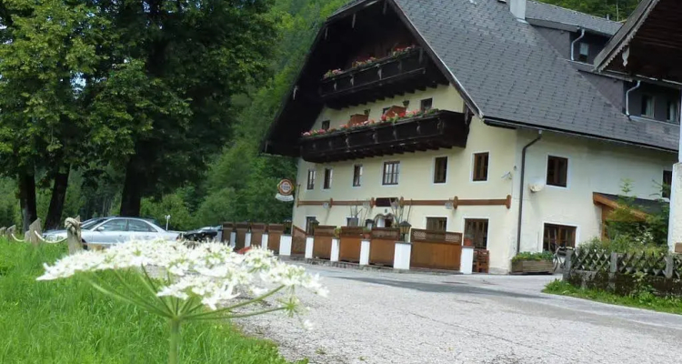 Gasthof Steinbrau