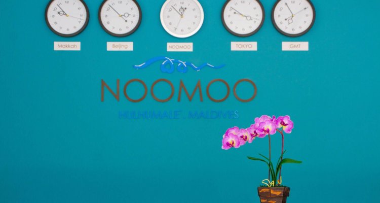 Noomoo