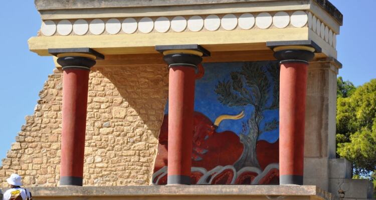 Experience & Enjoy Sea View Studios