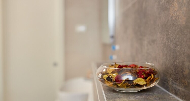 Holiday Home Festina Lente