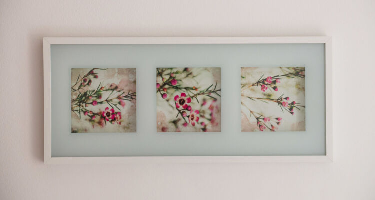 Apartments Carmelitta