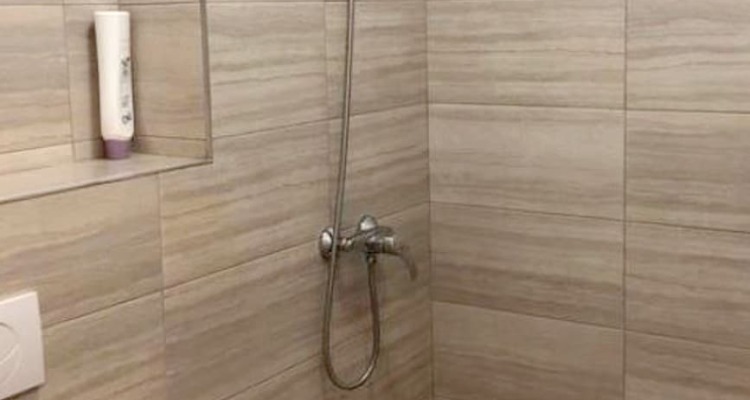 Studio In Roșu, With Balcony & Wifi