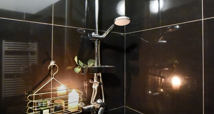 Homey Strada Gheorghe Lazar 9