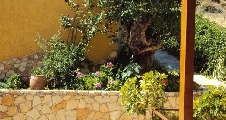 Elgoni Apartments by Checkin Adults Only