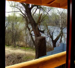 Green Style, фото 30