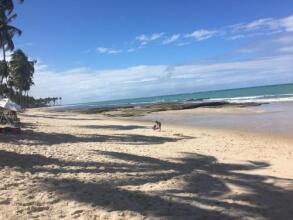 Flat Carneiros Beach Resort, фото 10