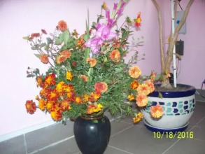 Mini Hotel on Solomianka, фото 16 Mini Hotel on Solomianka, фото 16