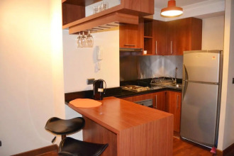 Studio Suite Manquehue, фото 17 Studio Suite Manquehue, фото 17