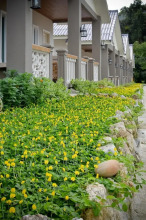 Dream Garden Resort Langkawi, фото 11