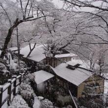 Matsuno Onsen Suikoen, фото 4