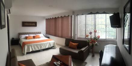 Caf, фото 6 Caf, фото 6