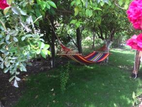 Tahtavilla, фото 3