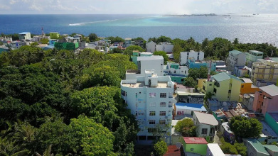 Green Flora, фото 14 Green Flora, фото 14