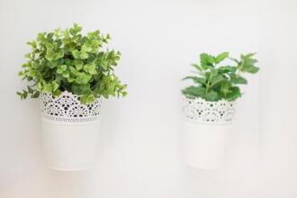 Bairrus Lisbon Apartments - Rossio, фото 30