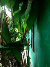 Saladero Eco Lodge, фото 7 Saladero Eco Lodge, фото 7