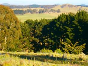 Highlands Motor Inn, фото 8