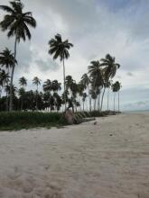 Casa Praia Dos Carneiros, фото 5
