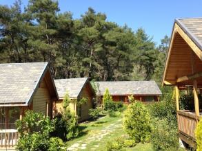 Olympos Village Ecologic Activity Hotel, фото 8