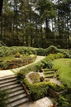 Bromélia Sabiá & Cia, фото 25 Bromélia Sabiá & Cia, фото 25