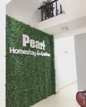 Pearl Homestay, фото 15