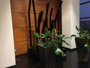 Studio Suite Manquehue, фото 9 Studio Suite Manquehue, фото 9