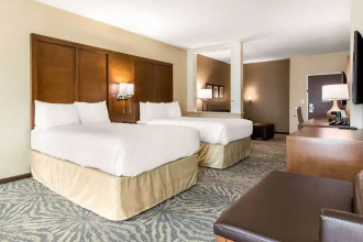 Comfort Suites - South Austin, фото 3 Comfort Suites - South Austin, фото 3