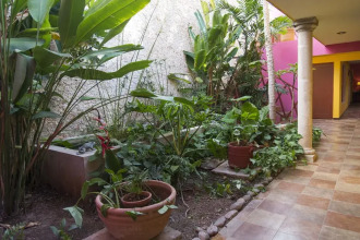 Koox Art 57, фото 11 Koox Art 57, фото 11