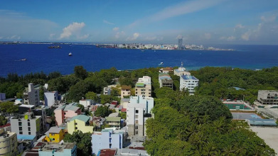 Green Flora, фото 13 Green Flora, фото 13