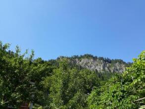 Check In Borjomi, фото 23