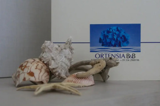 B&b Ortensia, фото 15