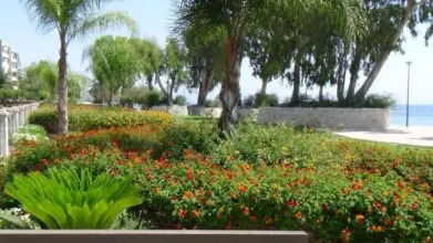 Galatex Apartment No. 41, Block TH1, фото 6 Galatex Apartment No. 41, Block TH1, фото 6