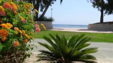 Galatex Apartment No. 41, Block TH1, фото 3 Galatex Apartment No. 41, Block TH1, фото 3