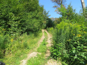 Tug Hill Resort, фото 20 Tug Hill Resort, фото 20