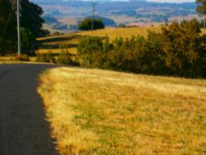 Highlands Motor Inn, фото 9