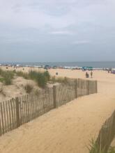 Executive Motel, фото 11 Executive Motel, фото 11