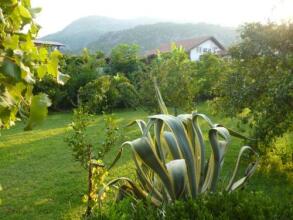 Olympos Oase, фото 20