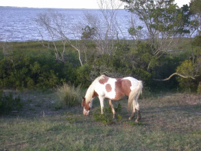 Harbour Club B16 by RedAwning, фото 3 Harbour Club B16 by RedAwning, фото 3