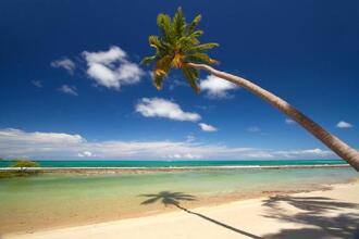 Flat Carneiros Beach Resort, фото 12