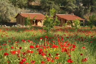 Pastoral Vadi Ecologic Life Far