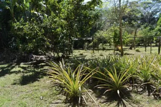 Hostel Iseami, фото 14 Hostel Iseami, фото 14