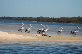 Gippsland lakehouse a, фото 12 Gippsland lakehouse a, фото 12