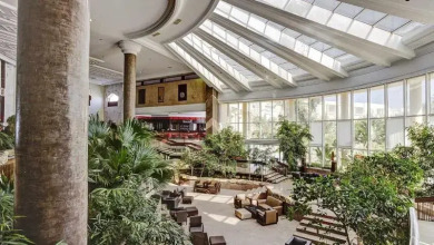 Club Magic Life Club Africana, фото 9 Club Magic Life Club Africana, фото 9