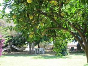 Baris Pension And Bungalows, фото 33